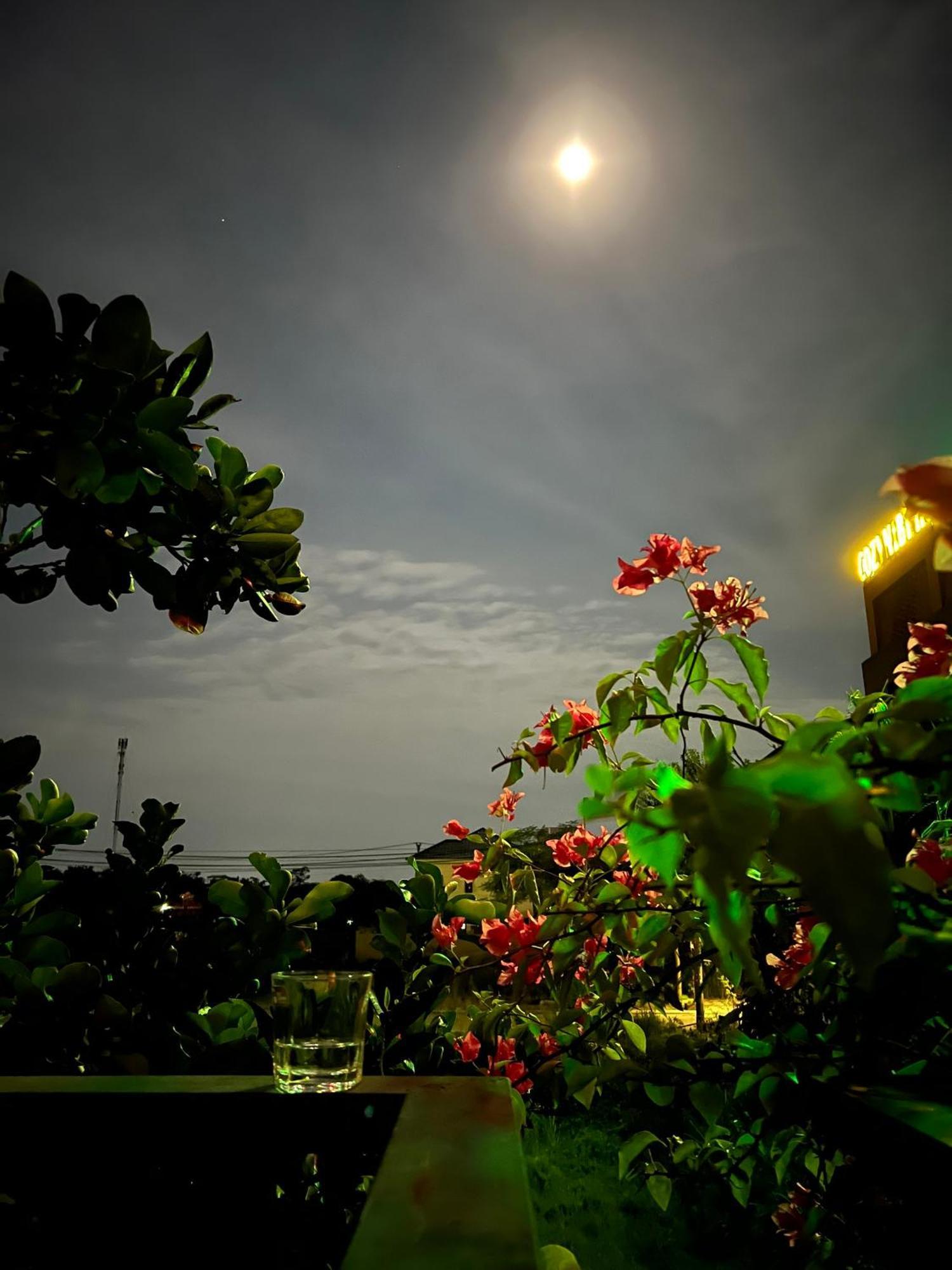 Tam Coc Golden Sun Villa Vu Lam Екстер'єр фото